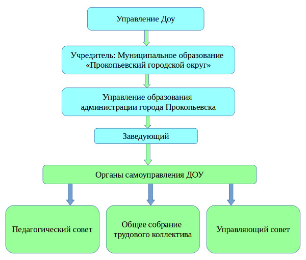 Структура МБДОУ 36